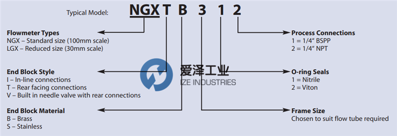 PLATON流量計NGX系列 愛澤工業(yè) izeindustries (1).png