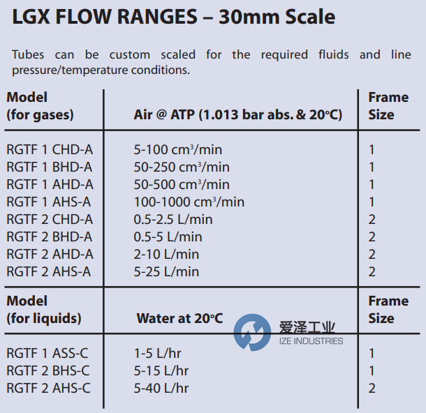 PLATON流量計NGX系列 愛澤工業(yè)ize-industries (2).png