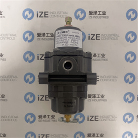 FISHER閥67CFR-600 愛澤工業(yè) izeindustries (7).JPG