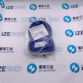 SELET傳感器B01AN100P0愛澤工業(yè)izeindustries (1).jpg