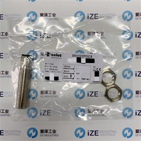 SELET傳感器B01122P0C5愛澤工業(yè)izeindustries (3).jpg