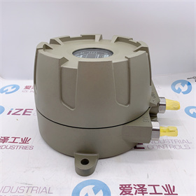 GASTRON氣體檢測(cè)器GTD-5000F 愛(ài)澤工業(yè) izeindustries (6).JPG