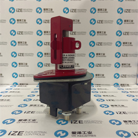 Lock safe隔離開關LS13009-01  愛澤工業(yè) izeindustries (1).JPG