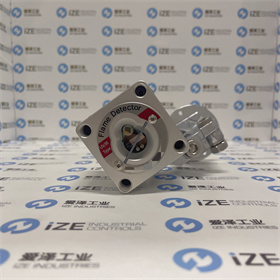 REZONTECH火焰檢測(cè)器RFD-2FTN 愛澤工業(yè) izeindustries (7).JPG