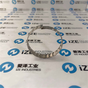 USATOLERANCERING公差環(huán)BN55X10S 愛澤工業(yè) izeindustries (4).JPG