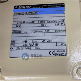 BAUER減速機BK20-65UD08LA82-TF-D-FV-KESX010A8SP 愛澤工業(yè) izeindustries (4).jpg BAUER減速機BK20-65UD08LA82-TF-D-FV-KESX010A8SP 愛澤工業(yè) izeindustries (4).jpg