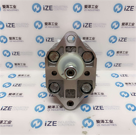 VIVOLO泵X0P0902ABBA愛(ài)澤工業(yè)izeindustries (3).jpg