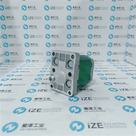 VIVOLO泵X1P2002FZBB 愛(ài)澤工業(yè) izeindustries (4).jpg