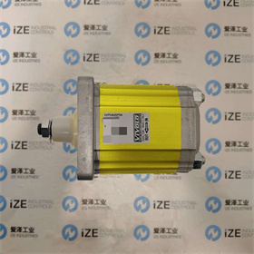 VIVOLO泵X2P5302EPOA 愛(ài)澤工業(yè) izeindustries (1).jpg