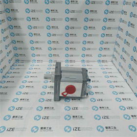 MARZOCCHI泵ALP2-D22-C0-FG-ST 愛澤工業(yè) izeindustries (4)_副本.jpg MARZOCCHI泵ALP2-D22-C0-FG-ST 愛澤工業(yè) izeindustries (4)_副本.jpg