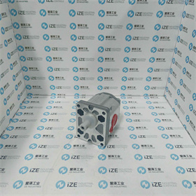 MARZOCCHI泵ALP2-D22-C0-FG-ST 愛澤工業(yè) izeindustries (5)_副本.jpg MARZOCCHI泵ALP2-D22-C0-FG-ST 愛澤工業(yè) izeindustries (5)_副本.jpg