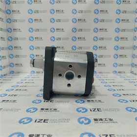 MARZOCCHI泵GHM2-R-20-E1 愛澤工業(yè) izeindustries (4)_副本.jpg