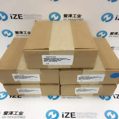 wb-1 NORTHSTAR HENGSTLER HSD351024PA7 愛澤工業(yè) IZE_INDUSTRIES.jpg