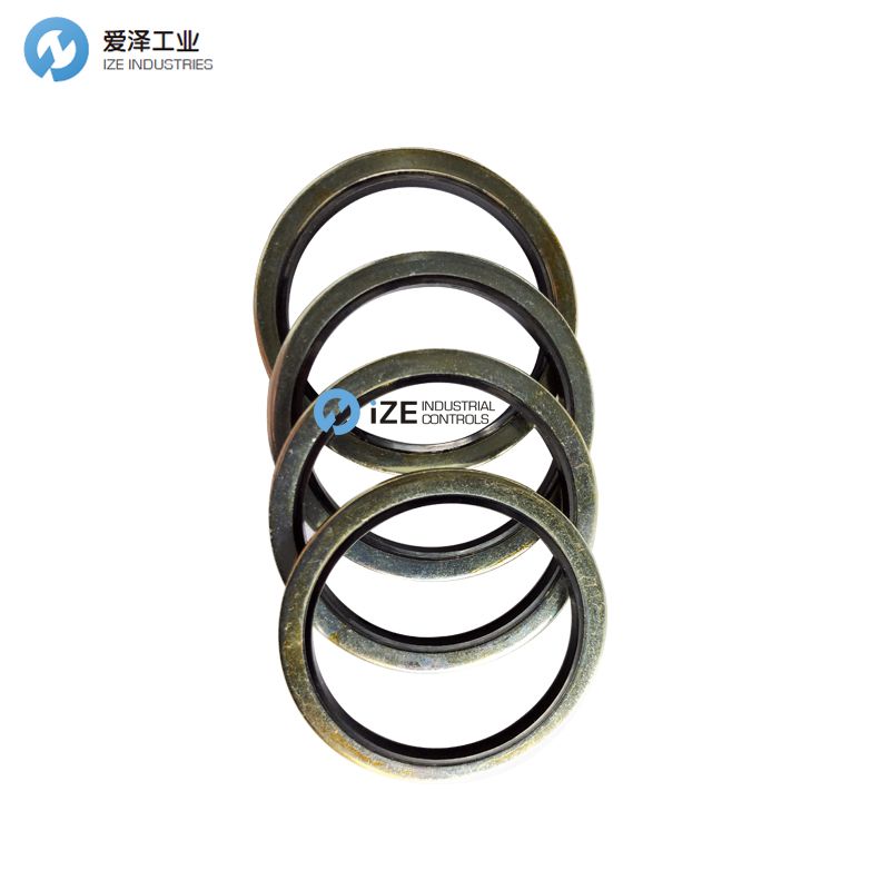 BUSAK+SHAMBAN_B+S密封DDM系列 DDM000337-N9MC1 33.7_42_2 愛澤工業(yè) izeindustries.jpg BUSAK+SHAMBAN_B+S密封DDM系列 DDM000337-N9MC1 33.7_42_2 愛澤工業(yè) izeindustries.jpg