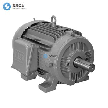 WEG電機(jī)W22系列 愛澤工業(yè)-izeindustries.jpg WEG電機(jī)W22系列 愛澤工業(yè)-izeindustries.jpg