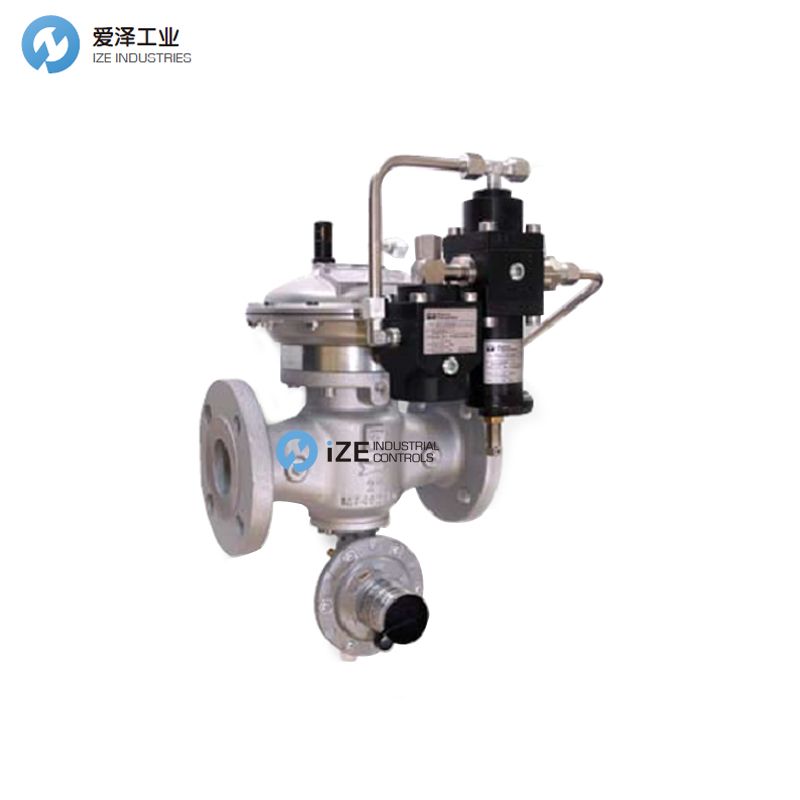 FIORENTINI 調(diào)壓閥DIXI25及維修包 izeindustries 愛(ài)澤工業(yè).jpg FIORENTINI 調(diào)壓閥DIXI25及維修包 izeindustries 愛(ài)澤工業(yè).jpg