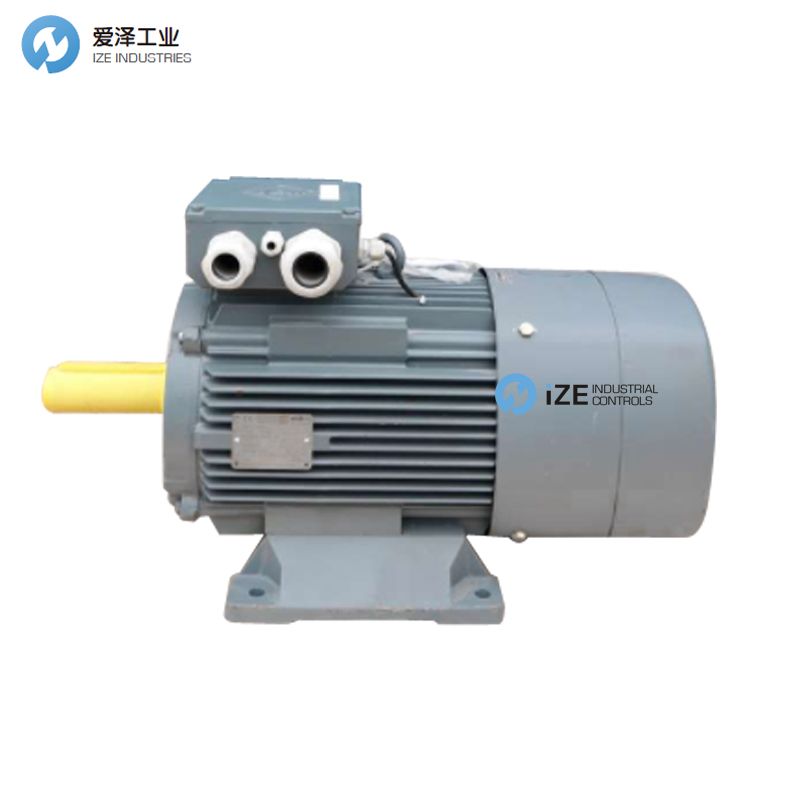 vem電機(jī)B21R系列 示例B21R90L4 愛澤工業(yè) izeindustrialcontrols.jpg vem電機(jī)B21R系列 示例B21R90L4 愛澤工業(yè) izeindustrialcontrols.jpg