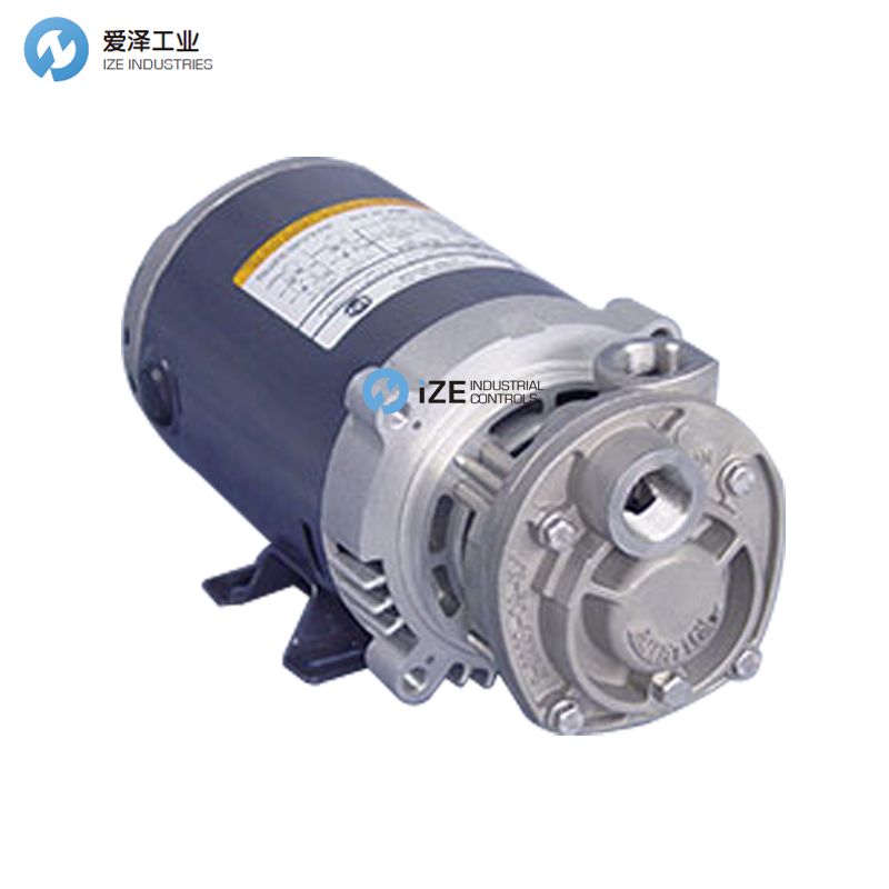 MTH渦輪泵T31系列T31E-AB T31E-SS愛澤工業(yè) izeindustries.jpg