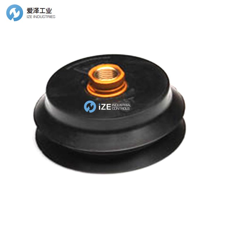 BILSING真空吸盤30BT系列 示例30BT-B-WF2愛澤工業(yè) izeindustries.jpg