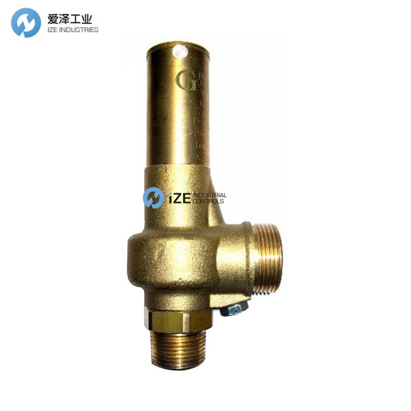 NUOVA GENERAL安全閥G25系列 愛澤工業(yè)izeindustries.jpg NUOVA GENERAL安全閥G25系列 愛澤工業(yè)izeindustries.jpg