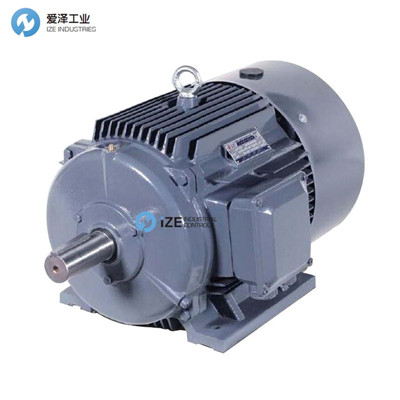 SIEMENS電機(jī)1TL0001-1DB43-3JA5愛澤工業(yè)izeindustries.jpg SIEMENS電機(jī)1TL0001-1DB43-3JA5愛澤工業(yè)izeindustries.jpg