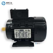 LEESON電機(jī)CM34D25NZ82A