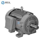 WEG電機(jī)W22系列 TE1BF0X0N示例02018ET3E256T