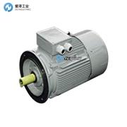 HEGA三相鼠籠式電動機(jī)FCA112M-4