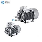 SIEMENS電機(jī)1LE系列 示例1LE1003-0EB02-1FB4-Z