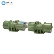 FRIEDRICH振動(dòng)電機(jī)F系列 示例F 2000-6-7.8