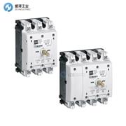 R-STAHL開關(guān)按鈕8544系列 8544/1-31