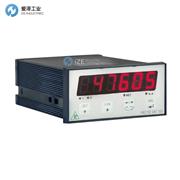 PAVONE稱重變送器DAT500/Analog