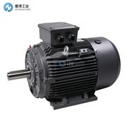 TEE電機(jī)QSFA71M4B40H