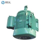 TEE電機(jī)QSFA100L4A-40H