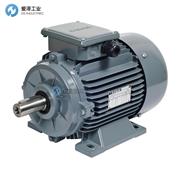 GAMAK電機(jī)AGM63 4B