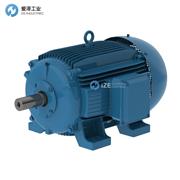 WEG電機W20-200L-04