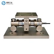 PT稱重模塊PT9000TWA-30KLB