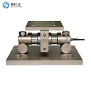 PT稱重模塊PT9000TWA-20KLB