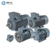 DUTCHI電機DM1 315 Lx 4