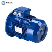 ELVEM電機(jī)6SM63B2