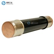 GE熔斷器9F62DCB100