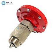 FW MURPHY油位開關(guān)DVU2120