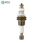 AUBURN電極液位計(jì)WCC-1138LT