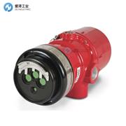 DET-TRONICS火焰探測器X3301S4N23Y2