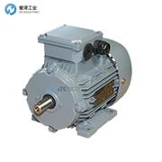 ELEKTROMOTORENWERK電機F63M-2