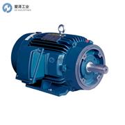 WORLDWIDE ELECTRIC電機(jī)LAM25-18-284TC