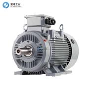 HONEYWELL電機(jī)HME3-100LA2-GS