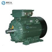 EMTAS電機(jī)NMST 100L6