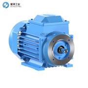 ABB電機(jī)M3GP160MLA6