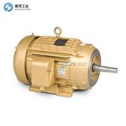 BALDOR電機(jī)10G863Y652G1